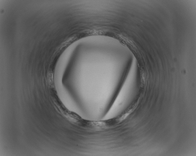 X0000072960429200608181436