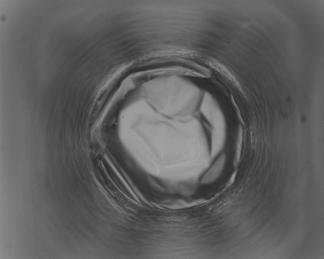 X0000072960436200608181435