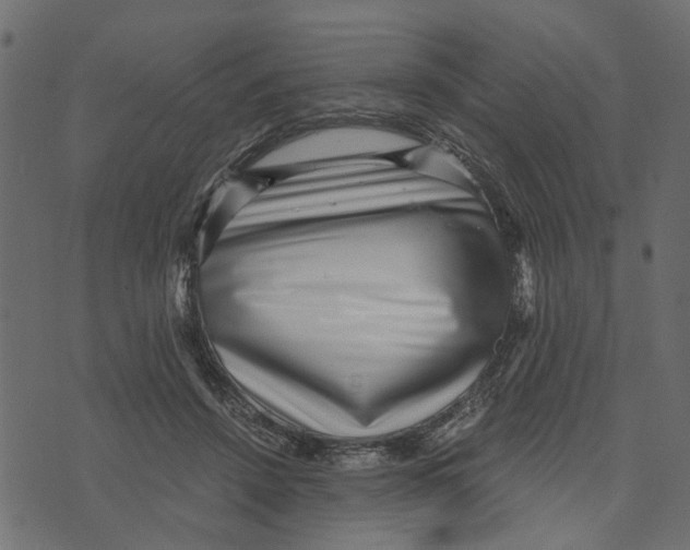 X0000072960456200608181435