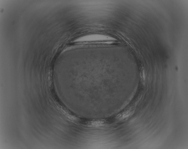 X0000072960462200608181436