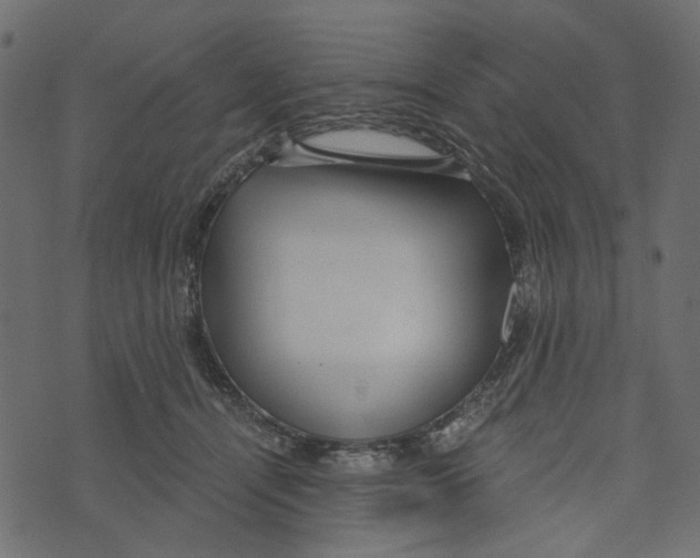 X0000072960464200608181436