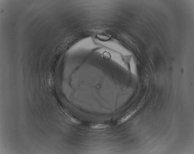 X0000072960467200608181436