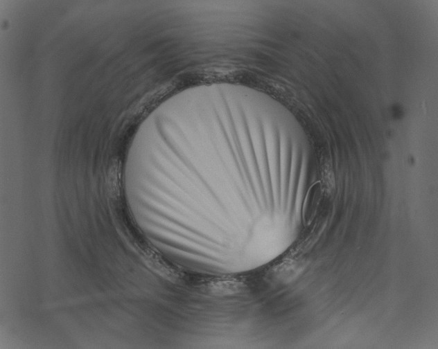 X0000072960468200608181436