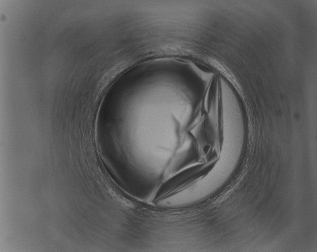 X0000072960481200608181435