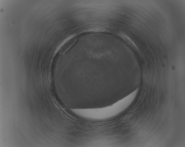 X0000072960484200608181435