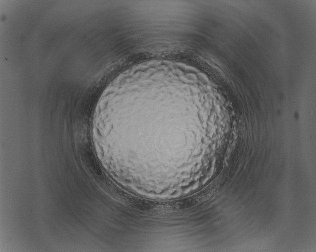 X0000072960499200608181435