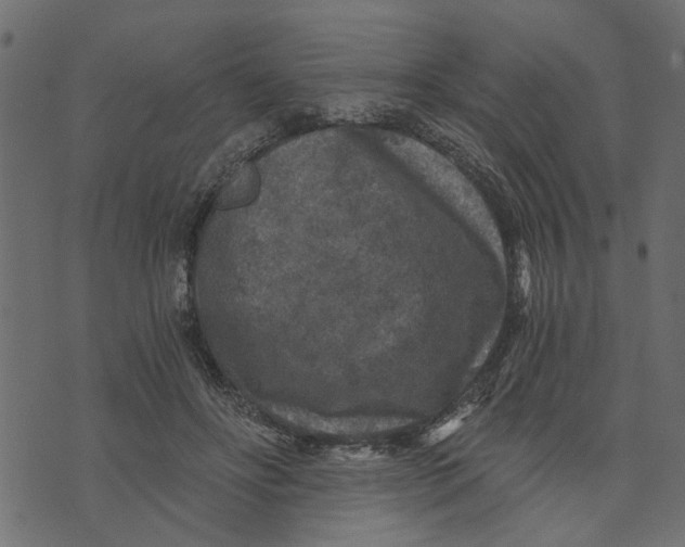 X0000072960502200608181435