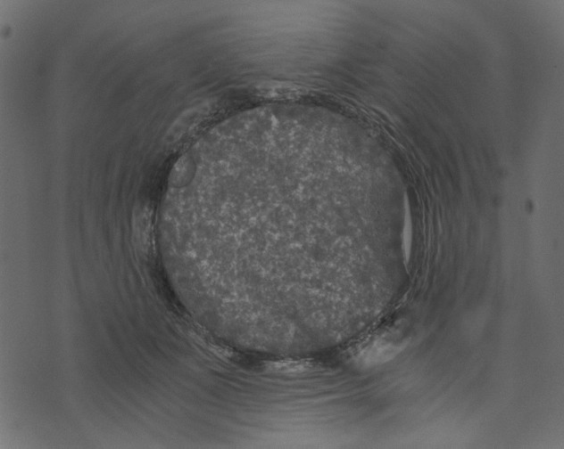 X0000072960511200608181435