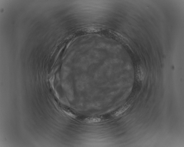X0000072960512200608181435