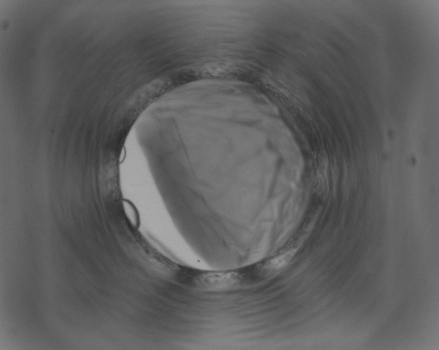 X0000072960526200608181434