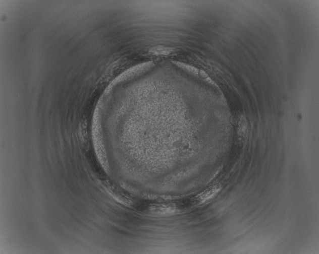 X0000072960559200608181434