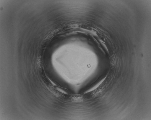 X0000072960560200608181434