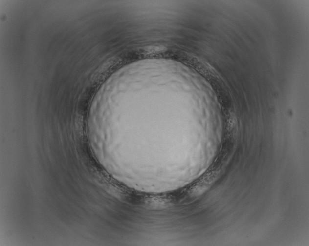 X0000072960565200608181434