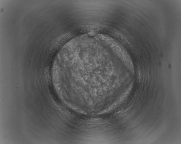 X0000072960594200608181433
