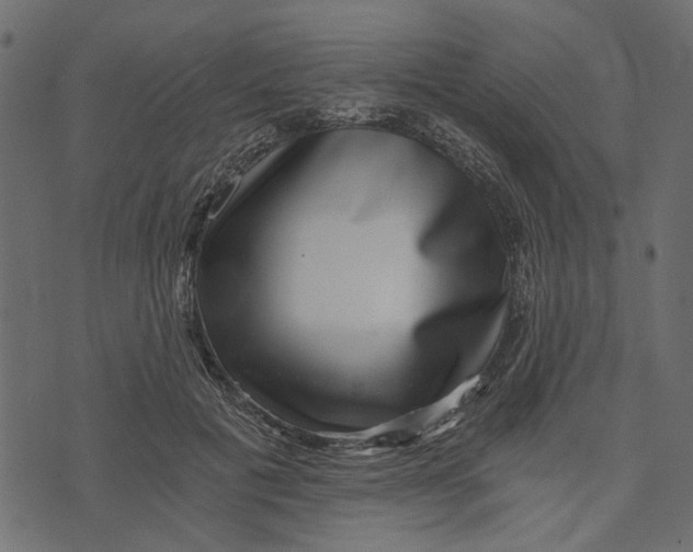 X0000072960601200608181433