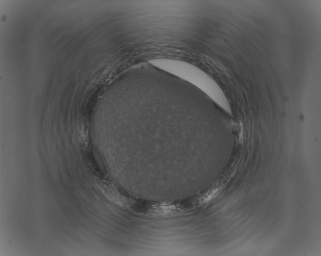 X0000072960607200608181433