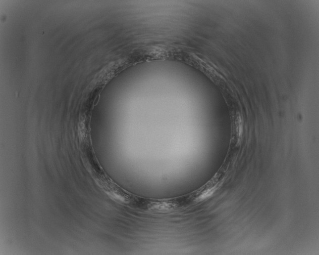 X0000072960611200608181433