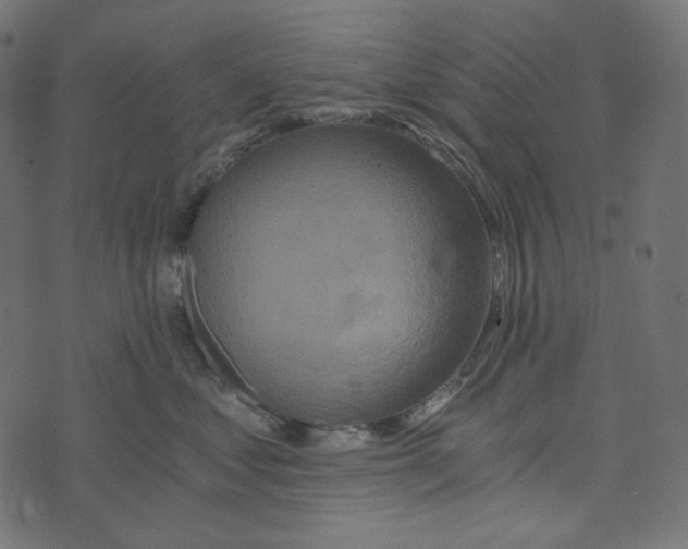 X0000072960621200608181433