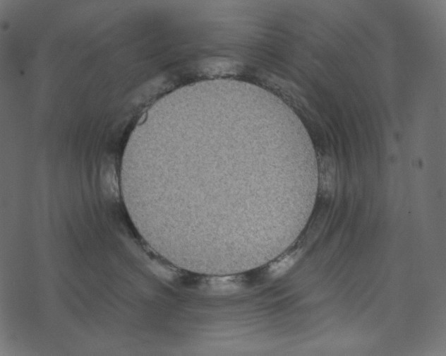 X0000072960622200608181433