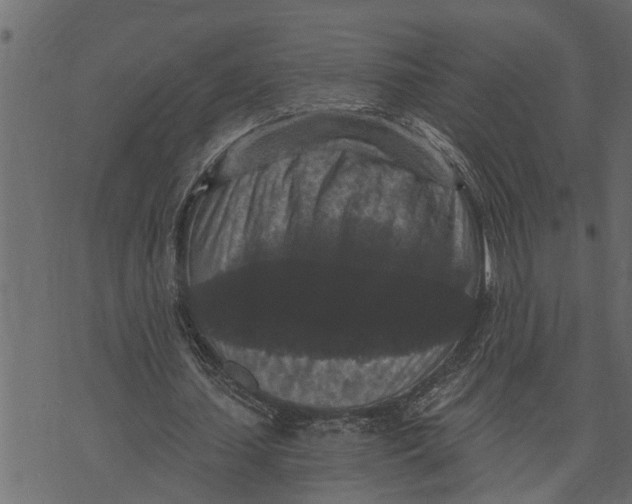 X0000072960627200608181432