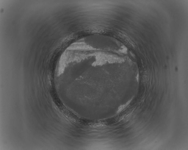 X0000072960643200608181432