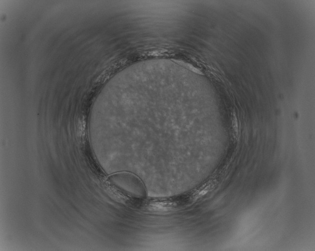 X0000072960657200608181432