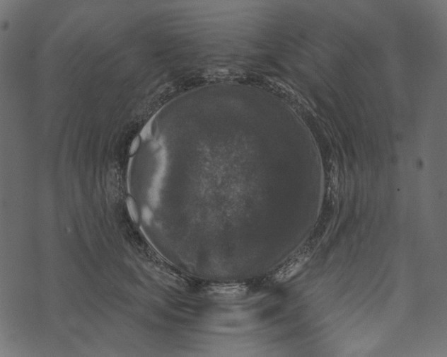X0000072960659200608181432