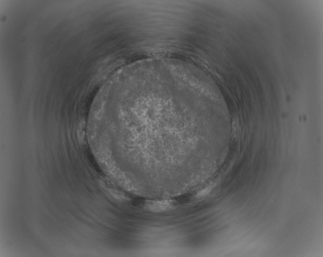 X0000072960671200608181433