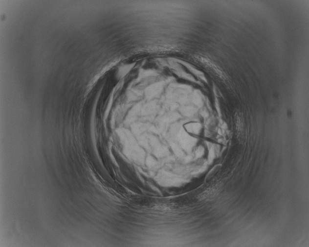X0000072960684200608181432