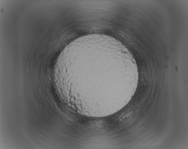 X0000072960695200608181432