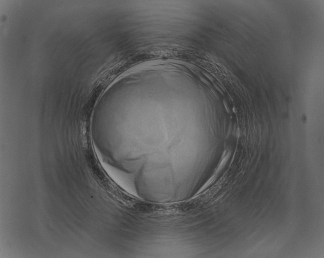 X0000072960696200608181432