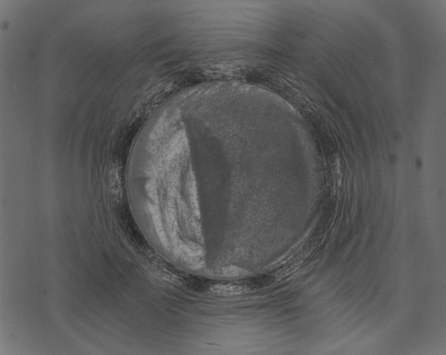 X0000072960699200608181431