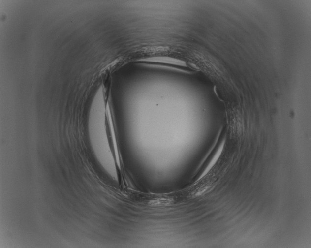 X0000072960700200608181431