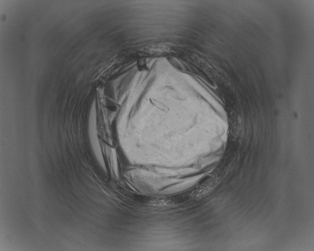 X0000072960704200608181431