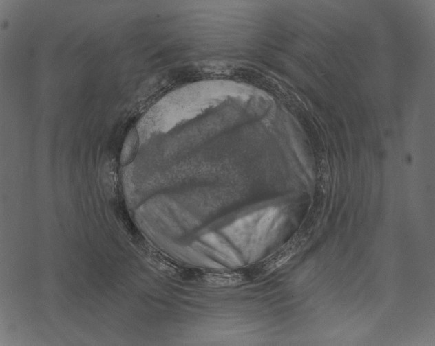X0000072960707200608181431