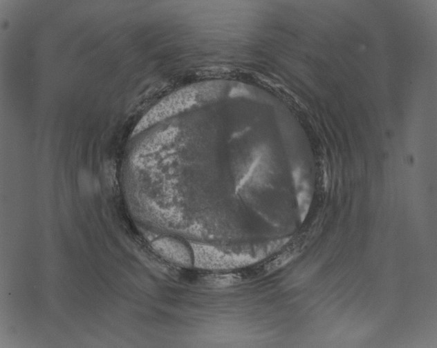X0000072960711200608181431