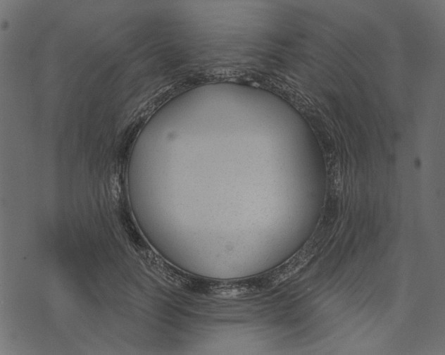X0000072960746200608181431