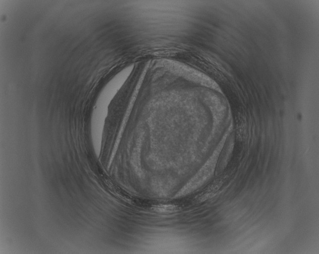 X0000072960748200608181431