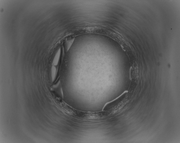 X0000072960750200608181431