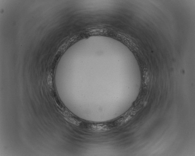 X0000072960753200608181431