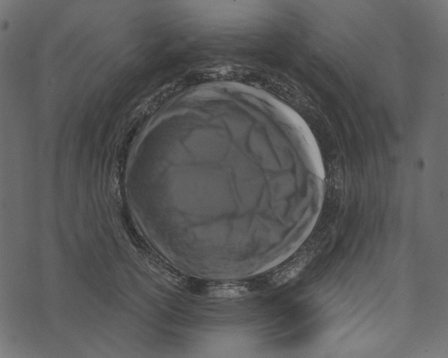 X0000072960754200608181431