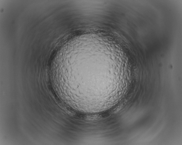 X0000072960757200608181431