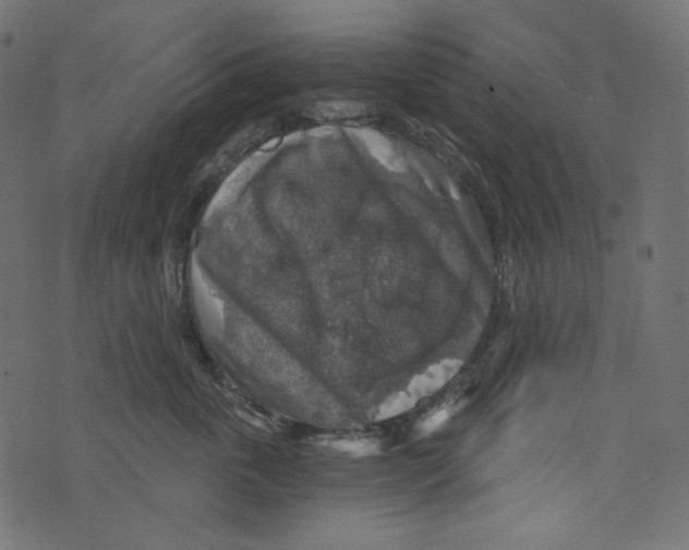 X0000072960763200608181431
