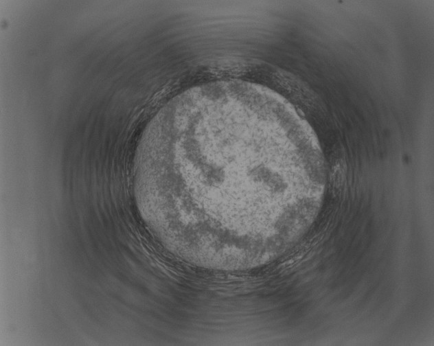 X0000072960772200608181430