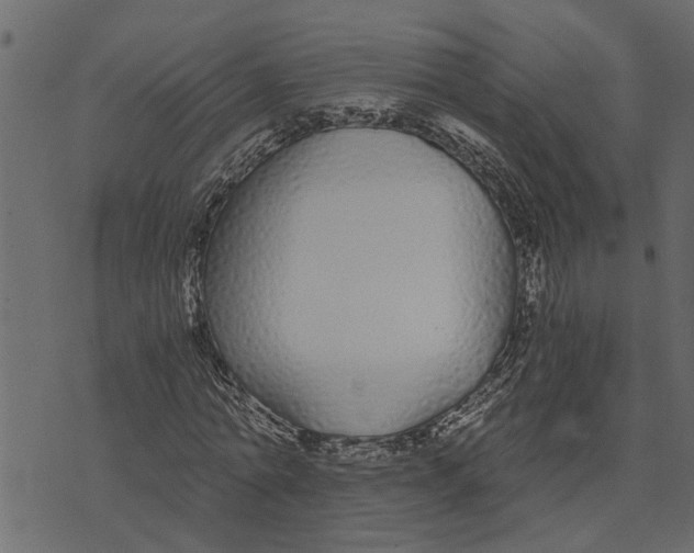 X0000072960774200608181430