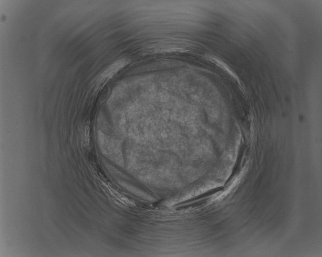 X0000072960777200608181430