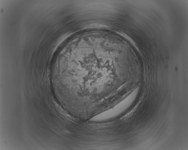X0000072960783200608181430