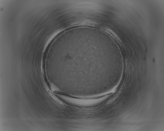X0000072960788200608181430