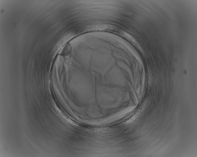 X0000072960802200608181430