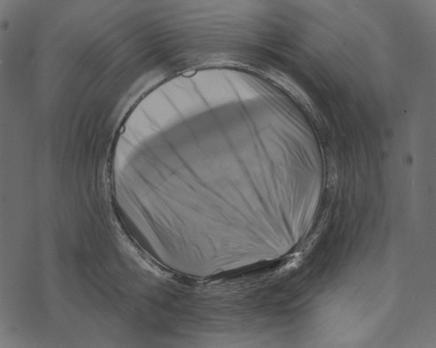 X0000072960806200608181430